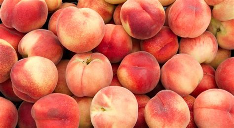 georgia peach porn|Georgia Peach .